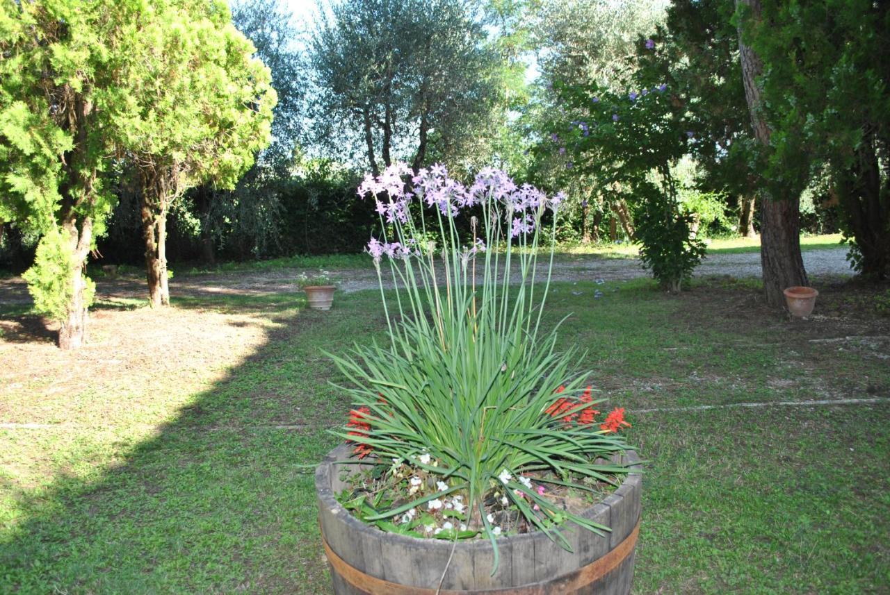 קסטלנואובו ברארדנגה Agriturismo La Nicchia מראה חיצוני תמונה