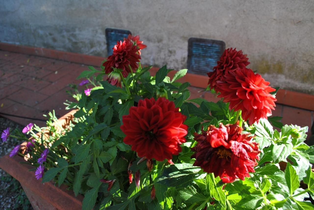 קסטלנואובו ברארדנגה Agriturismo La Nicchia מראה חיצוני תמונה