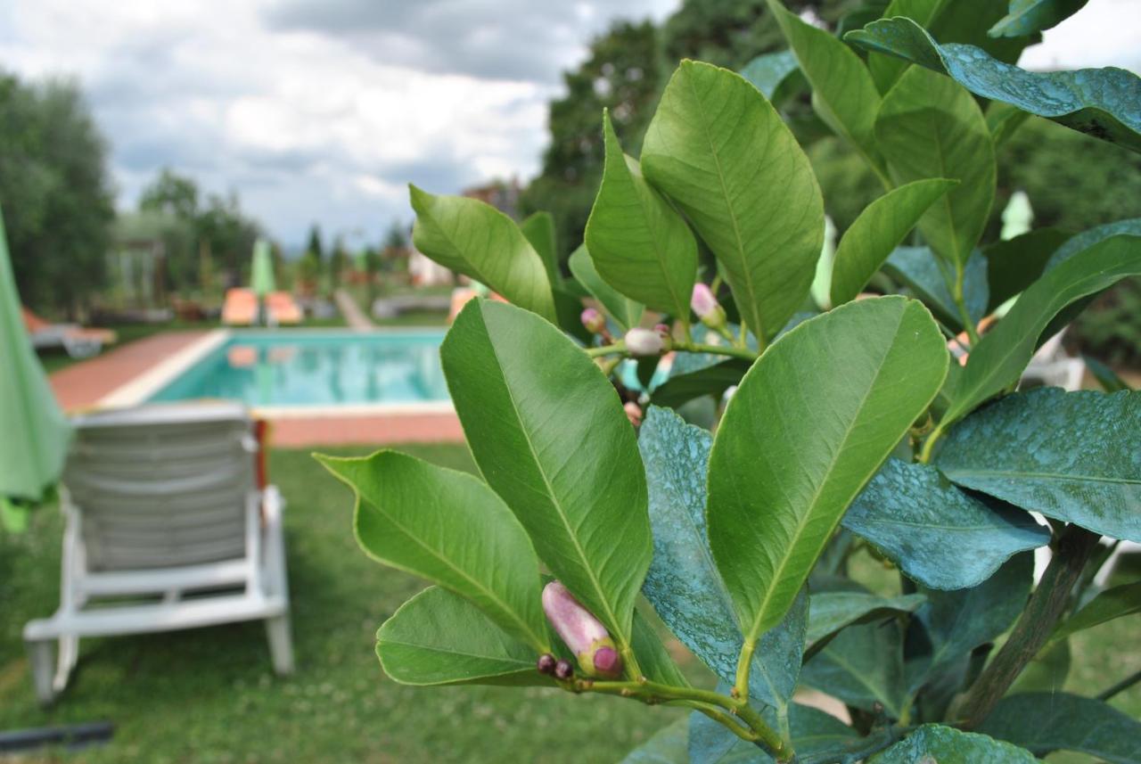 הוילה קסטלנואובו ברארדנגה Agriturismo La Nicchia מראה חיצוני תמונה